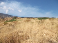 Torrente_Quarantore - 20110911 182.jpg